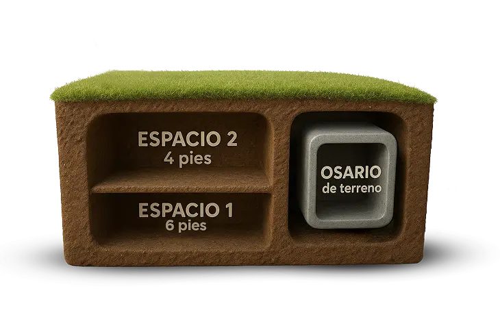 Lote familiar
